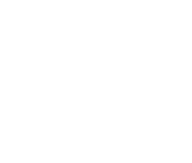 Vector